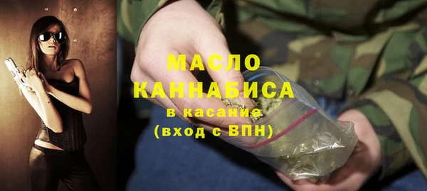 мет Алексин