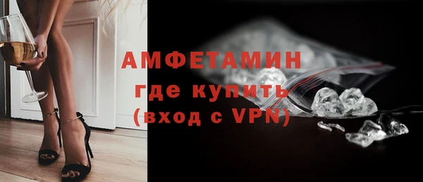 мет Алексин