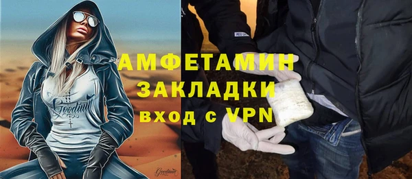 мет Алексин