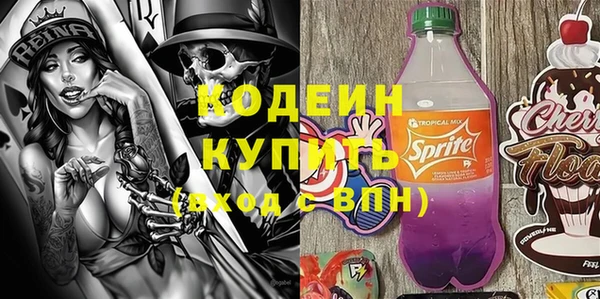 мет Алексин